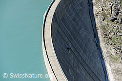 F099669: Bogenstaumauer des Griessees