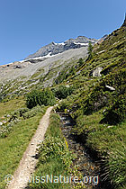 F100049: Suone in grüner Berglandschaft