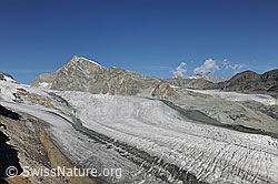 F101279: Allalinhorn und Allalingletscher