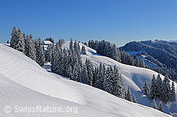 F104612: Winterlandschaft im Napfgebiet