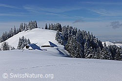 F104653: Alphütten im Schnee