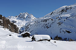 F104837: Alphütten am Winterwanderweg
