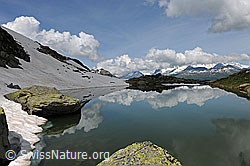 F109052: Schaplersee, Binntal