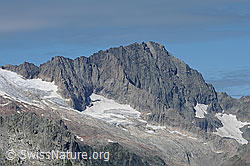 Photo: Ritzlihorn, Ärlengrätli and Ärlen glacier (Ärlengletscher)