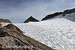 F113107: Berglandschaft mit Fäldbachgletscher
