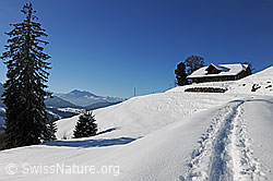 F115656: Spur im Schnee Richtung Alphütte