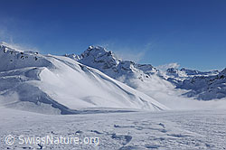 F127363: Schneefahne am Ofenhorn