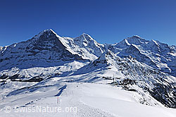 F127489: Blick vom Männlichen auf Eiger, Mönch und Jungfrau