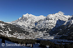 F127629: Grindelwald mit Wetterhorn im Hintergrund