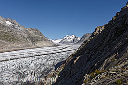 F133169: Gletscherlandschaft Grosser Aletschgletscher