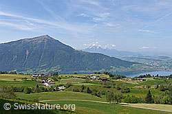 F138115: Rigi vom Walchwilerberg