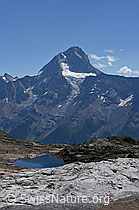 F141158: Bietschhorn, Birchgletscher und Nestgletscher