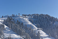 F144181: Stall in Winterlandschaft