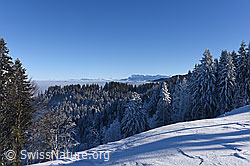 F144185: Winterlandschaft mit Pilatus und Nebelmeer über der Zentralschweiz