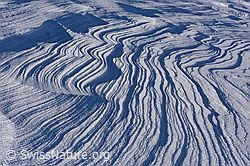 F144217: Vom Wind geformte Schneeoberfläche