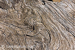F147400: Strukturen im Holz