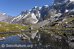 F155116: Spiegelung der Nordwände in kleinem Bergsee