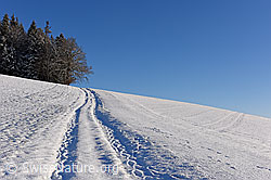 F156775: Feldweg in Winterlandschaft