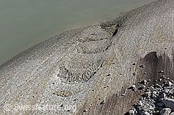 Foto: Sichelbrüche auf Gletscherschliff