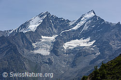 Foto: Dom, Täschhorn und Kingletscher