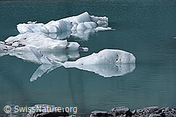 F160402: Fischförmige Eisscholle