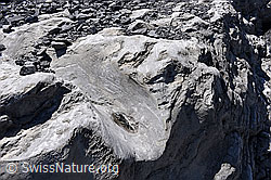 Foto: Ehemaliger subglazialer Schmelzwasserkanal