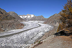 F161459: Grosser Aletschgletscher mit ausgeprägter Mittelmoräne