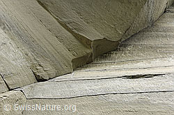 F161489: Schichten in Sandsteinwand