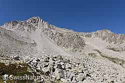 Foto: Sturzbahn und Kegel eines Bergsturzes