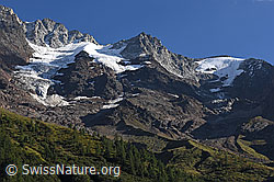 F175665: Loibinbachgletscher und Oigschtchummungletscher