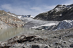 Foto: Gletscherabdeckung am Rhonegletscher  (Stand 7.2021)