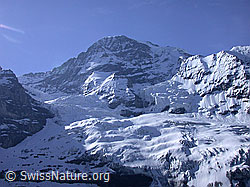 Foto: Nordwand des Mönch und Eigergletscher