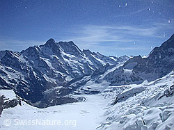 Photo: Fieschergletscher, Schreckhorn, Lauteraarhorn