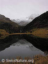 G014930: Glasklare Spiegelung in Bergsee