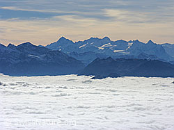 G024272: Berner Alpen und Nebelmeer