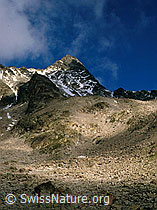 dia96124: Piz Ot