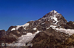 dia98164: Dent Blanche