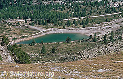 dia98180: Grüensee, Zermatt