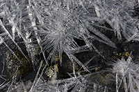 Kalenderbild Eiskristalle